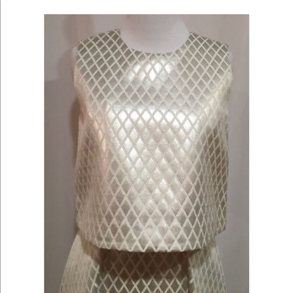 Erin Fetherston Birdie Silver Ivory Dress - Picture 9 of 10